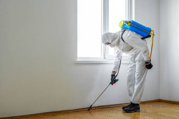 Trusted San Francisco, CA Pest Control Experts